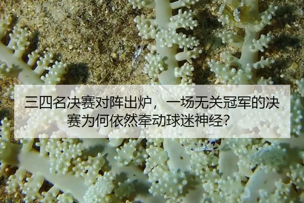 san-si-ming-jue-sai-dui-zhen-chu-lu-yi-chang-wu-guan-guan-jun-de-jue-sai-wei-he-yi-ran-qian-dong-qiu-mi-shen-jing-2-698.jpg