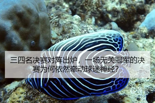 三四名决赛对阵出炉，一场无关冠军的决赛为何依然牵动球迷神经？